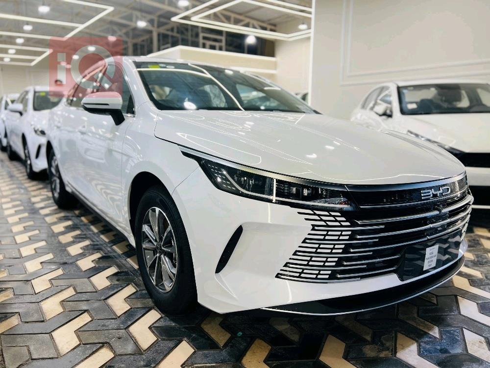 بي واي دي ديستروير 05